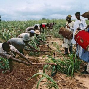Analysis of the origins of CSR in the traditional African way of life