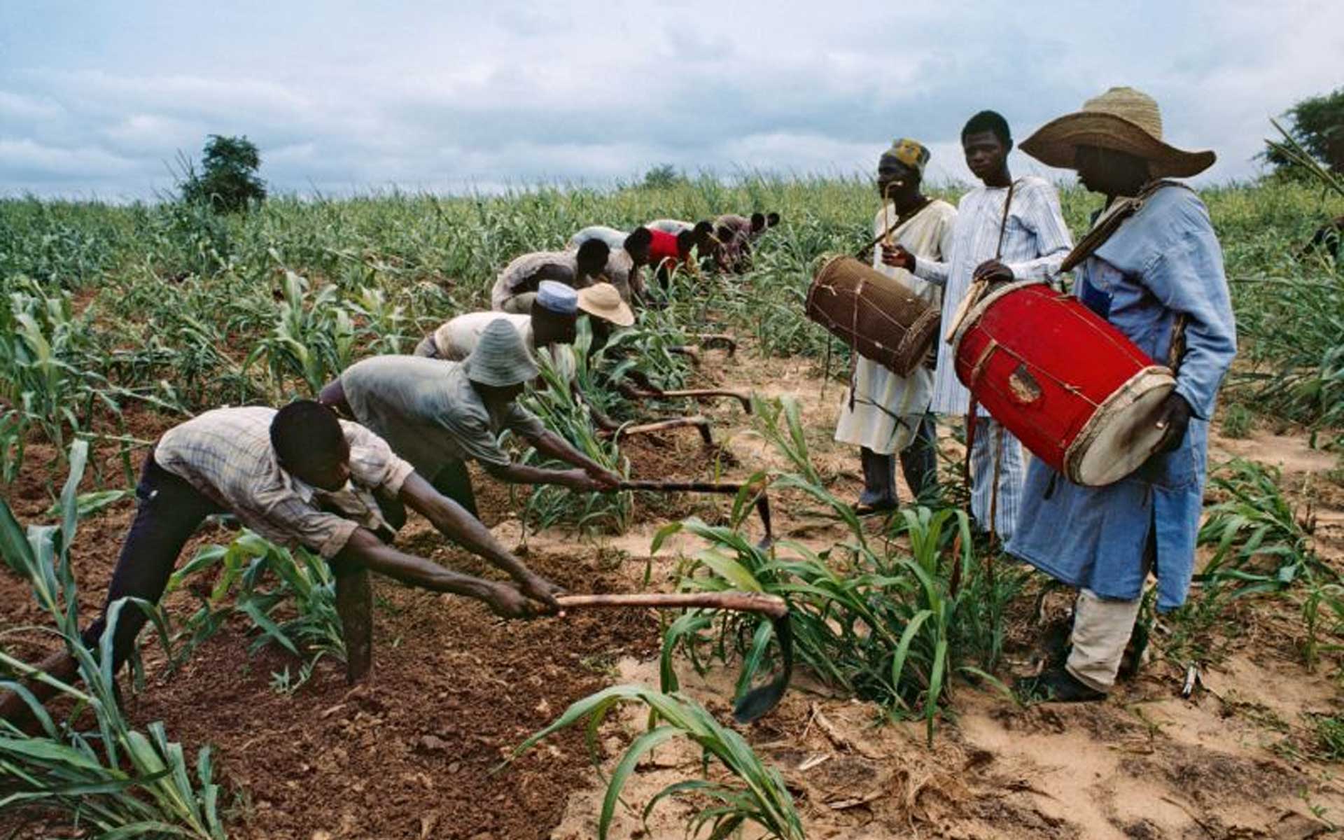 Analysis of the origins of CSR in the traditional African way of life