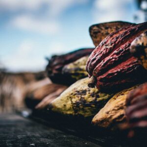 L’apocalypse de la nouvelle invasion économique mondiale : le cacao chinois arrive